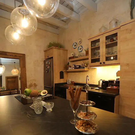 Villa New Balturk Nature Sapanca