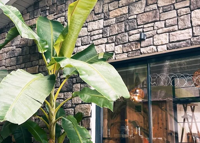 New Balturk Nature * Sapanca